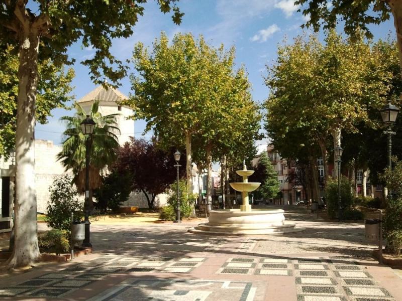 Arevalo Center, Parking Gratis